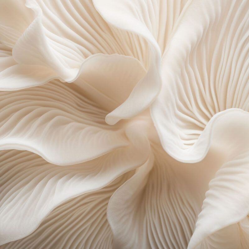 Procurement: Best Practice in Action