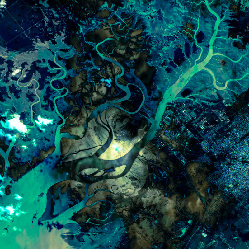 How to achieve painless communication services procurement